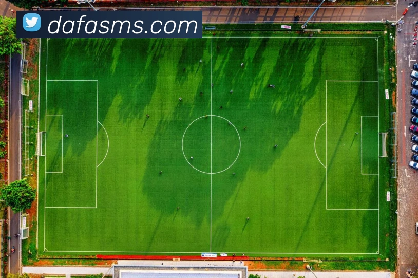 大发官网发展历程